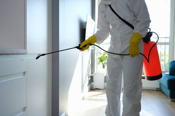 Mold Remediation for Vacation Homes in Palmer Heights, PA